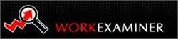 EfficientLab, LLC. EfficientLab ProdoTime (лицензия на 1 год) 400169540