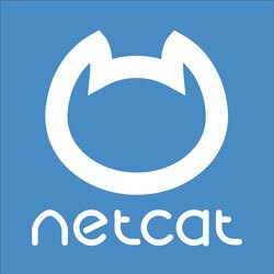 NetCat (лицензия), Версия Business 262477495