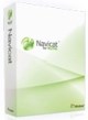 Navicat for MySQL (электронная версия 16 Enterprise для коммерческих организаций бессрочная), стоимость 1 лицензии 2086452299