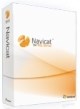 Navicat for SQL Server (техподдержка Standard для коммерческих организаций), на 2 года 1176580517