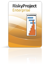 Intaver Institute Inc. Intaver RiskyProject (постоянная лицензия Single), Lite 634907385