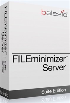 balesio AG balesio FILEminimizer Server (техподдержка), Лицензия Enterprise 1850266230
