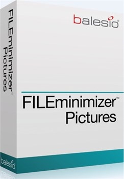 balesio AG FILEminimizer Pictures (поддержка Premium Pack), Количество пользователей 1663340371
