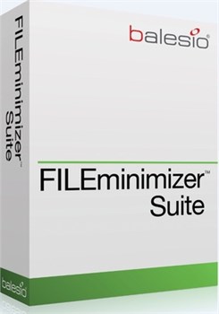 balesio AG FILEminimizer Suite (поддержка Premium Pack) 546283293