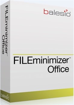 balesio AG FILEminimizer Office (поддержка), Количество лицензии 824056195
