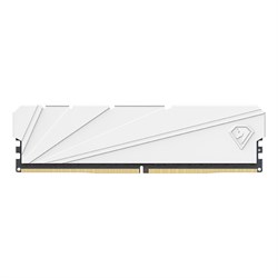 Оперативная память Netac DDR4 16GB, NTSSD4P32SP-16W, RTL 755455403