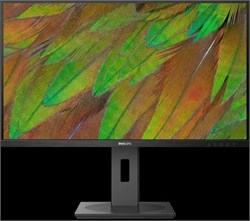 Монитор Philips 32B1N3800 31.5-inch черный 574393917