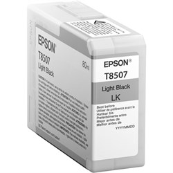 Картридж серый Epson T850 SC-P800, C13T850700 27999290