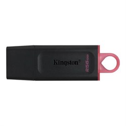Флешка Kingston DataTraveler Exodia 256Gb 1382093865