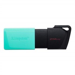 Флешка Kingston DataTraveler Exodia M 256Gb 543133641
