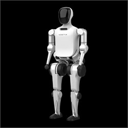 Робот-гуманоид Noetix Robotics N2 1952790566