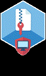 ElcomSoft Co.Ltd Advanced Archive Password Recovery (продление лицензии), Standard Edition Продление лицензии на 12 мес. 1615082208