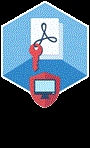 ElcomSoft Co.Ltd ElcomSoft Advanced PDF Password Recovery (продление лицензии), Standard Edition Продление лицензии на 12 мес. 752793507