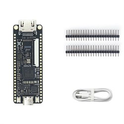 Отладочная плата Sipeed Tang Nano 9K 843790582