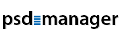 cebas Visual Technology Inc. cebas PSD-Manager (подписка на лицензию на 1 год) 1897933071