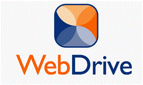 South River Technologies South River WebDrive (годовая подписка + техподдержка Base), 250 Pack License 258669412