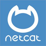 NetCat (лицензия), Версия Standard+ 826851376