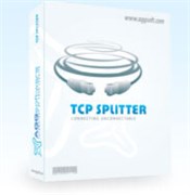 AGG Software TCP Splitter (лицензии), версия Professional Pro 20 590467960