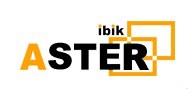 Ibik Астер Professional-3 Бессрочная лицензия, на 3 рабочих места 527584941