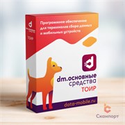 Компания Сканпорт DataMobile.ТОИР (подписка), на 1 год 138019387