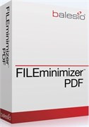 balesio AG FILEminimizer PDF (лицензии Premium Pack), Количество лицензии 763097007