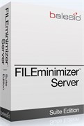 balesio AG balesio FILEminimizer Server (техподдержка), Лицензия Professional 1233278909