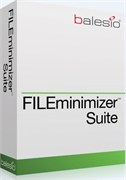 balesio AG FILEminimizer Suite (лицензия) 1789453703