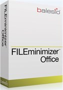 balesio AG FILEminimizer Office (поддержка), Количество лицензии 824056195
