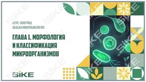 ООО «Корпоративные системы Плюс» Электронный курс Общая микробиология ГЛАВА 1, Морфология и классификация микроорганизмов (лицензия), базовая версия 2036621792
