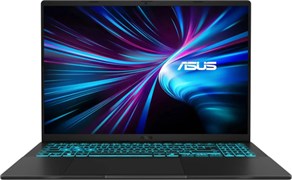Ноутбук ASUS V16 V3607 Intel Core 5 210H (черный) 1358886621