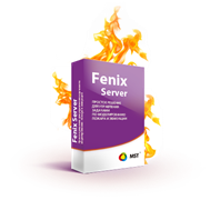 Современные программные технологии Fenix Server (лицензия), на 1 год 493228419