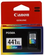 Картридж голубой, пурпурный, желтый Canon CL-441XL, 5220B001 1923055725