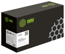 Картридж черный Cactus CS-SP250EBK 2119495922