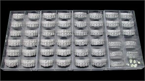 Модуль Exocad Tooth Library 810045700