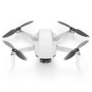 Квадрокоптер DJI Mavic Mini 1456667222