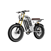 Электробайк CopterParts 2 серии WISH09 1970191088