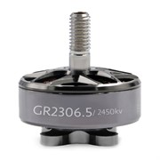 Двигатель GEPRC GR2306 2450KV 2064912309
