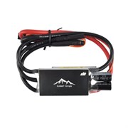ESC регулятор Dualsky SUMMIT 100 661917890