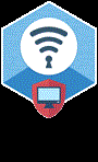 ElcomSoft Co.Ltd Elcomsoft Wireless Security Auditor (продление лицензии), Standard Edition Продление лицензии на 12 мес. 383381080