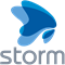 StormCorp (платформа бизнес-аналитики Storm Navigator на 1 год), цена за 1 лицензию 1881588594