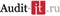 AuditIT «Ваш финансовый аналитик» (лицензия), Онлайн 529461405