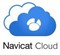 Navicat Cloud Pro Plan (лицензия на 1 год) 154429347