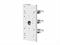 Крепление Hikvision DS-1275ZJ 581640897