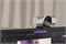 Вебкамера Logitech WebCam MX Brio 705 451477675
