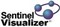 FMS Advanced Systems Group Sentinel Visualizer (техподдержка на 1 год), Для лицензии ULTIMATE (1 ПК/пользователь) 993005283