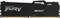 Оперативная память Kingston FURY Beast RGB EXPO 32GB 6400MT/s DDR5 CL32, KF564C32BBEA-32, RTL 1839896420