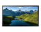 Монитор Samsung OH55A-S 55.0-inch черный 1211450419