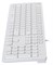Клавиатура Oklick KeyBoard 500M 1061586, цвет белый 505710660