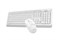 Клавиатура+мышь A4tech Клавиатура + мышь Fstyler FG1012 FG1012 WHITE, цвет белый 519318196