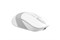 Мышь A4tech Fstyler FB10C GRAYISH WHITE, цвет белый 1235955299